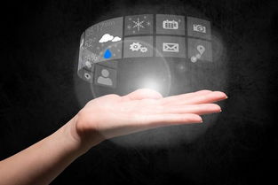 半自动化运维 基于服务器信息维护的信息系统运行服务